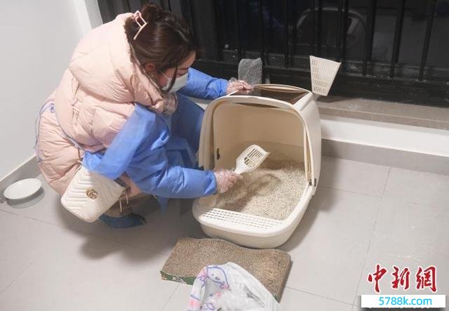 一位宠物托养师在养宠家庭清算猫砂盆。     中新网 图