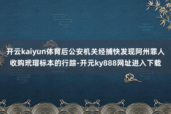 开云kaiyun体育后公安机关经捕快发现阿州罪人收购玳瑁标本的行踪-开元ky888网址进入下载