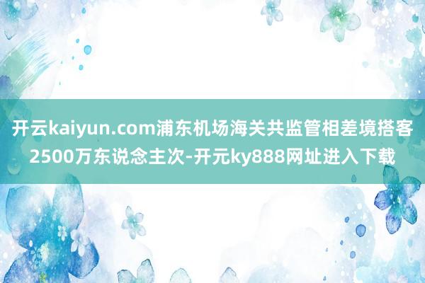 开云kaiyun.com浦东机场海关共监管相差境搭客2500万东说念主次-开元ky888网址进入下载