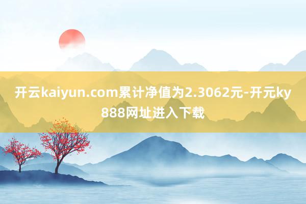 开云kaiyun.com累计净值为2.3062元-开元ky888网址进入下载